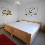 Daire Lodola 298 3 Hk , 3 *